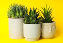 עצים מלאכותיים