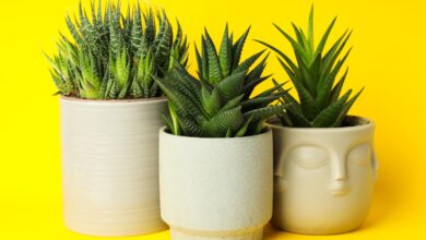 עצים מלאכותיים